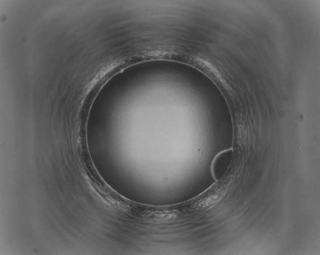 X0000070390443200606231741