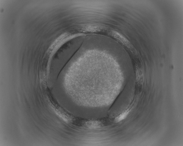 X0000070390444200606231741