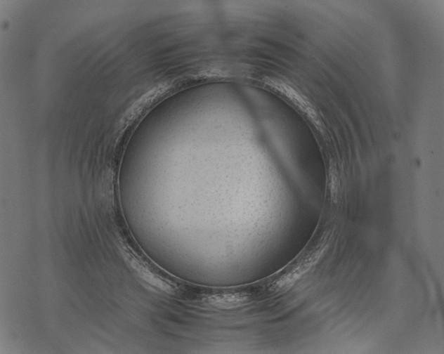 X0000070390445200606231741