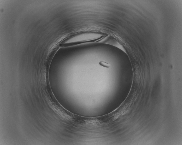 X0000070390446200606231741