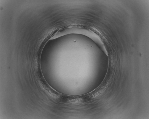 X0000070390447200606231741