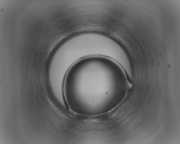 X0000070390448200606231741