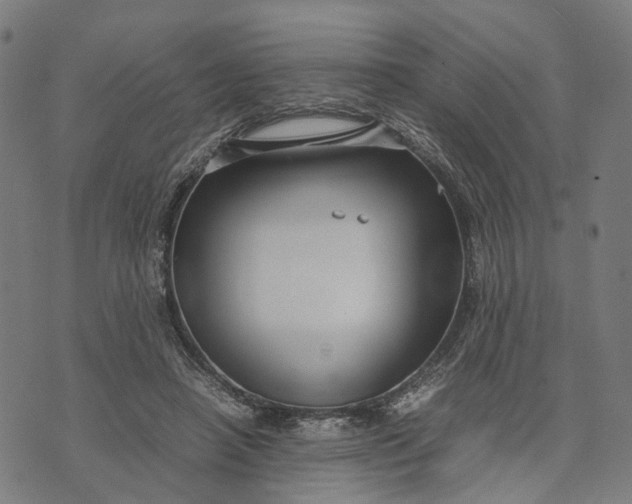 X0000070390450200606231741