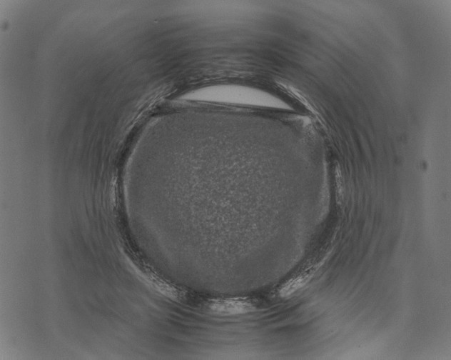 X0000070390451200606231741