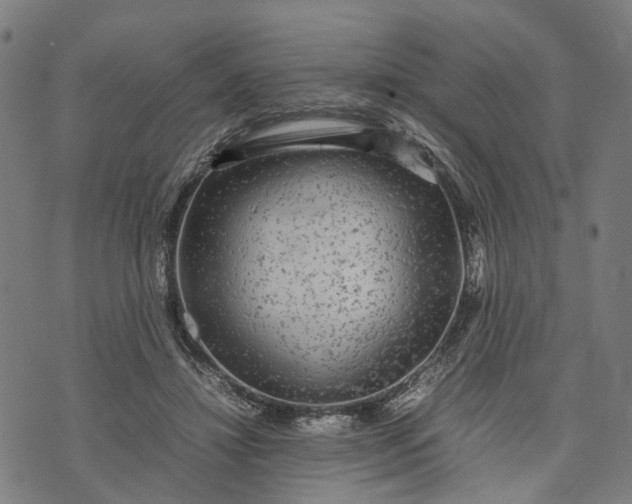 X0000070390452200606231741