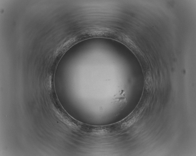 X0000070390454200606231741