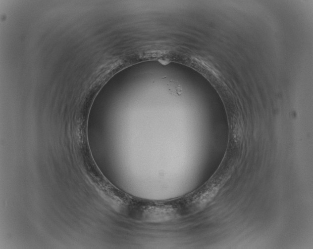 X0000070390455200606231742