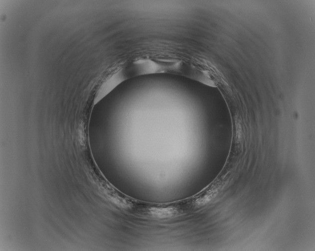 X0000070390457200606231742