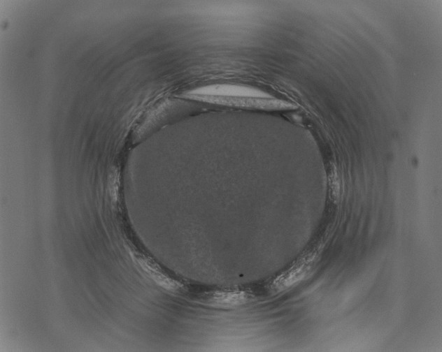 X0000070390458200606231742