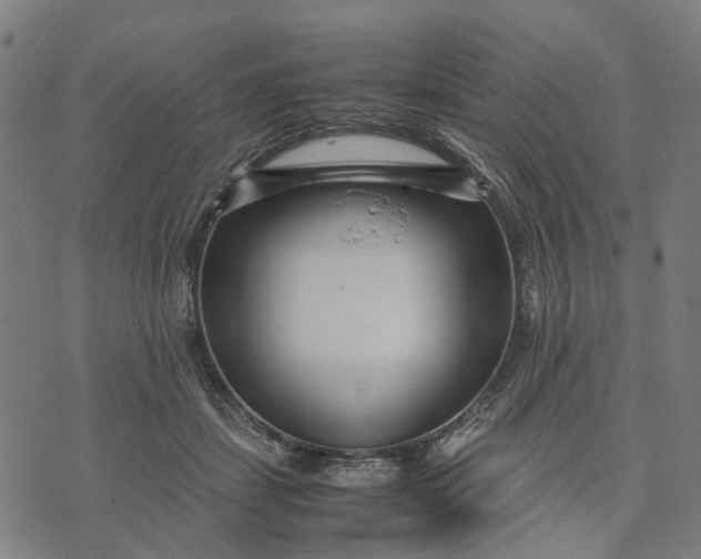 X0000070390459200606231742