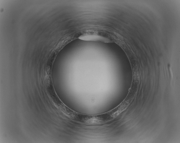 X0000070390460200606231742