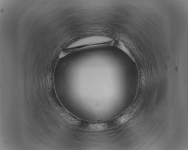 X0000070390461200606231742