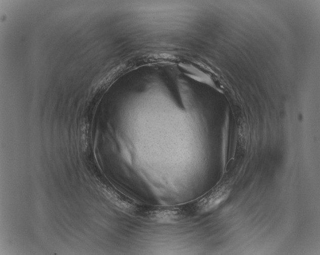 X0000070390462200606231742