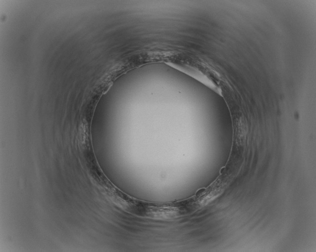 X0000070390463200606231742