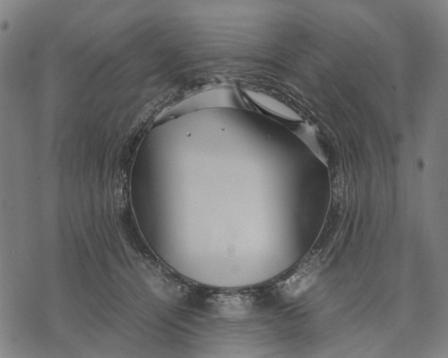 X0000070390464200606231742