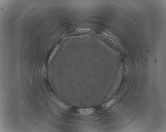 X0000070390465200606231742