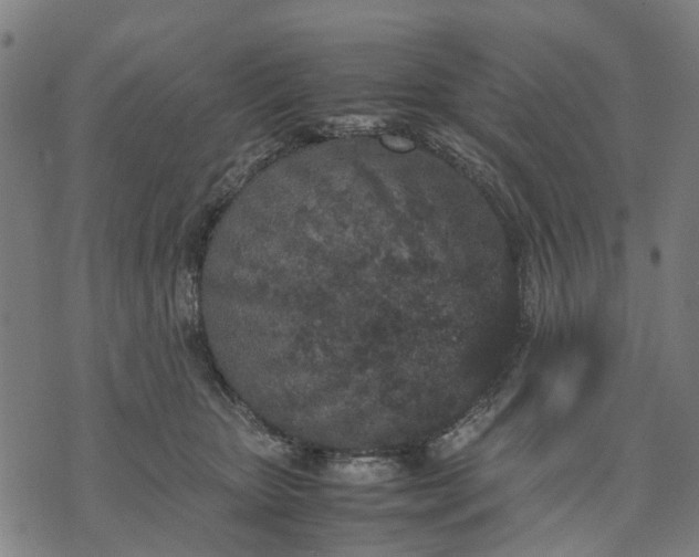 X0000070390467200606231742