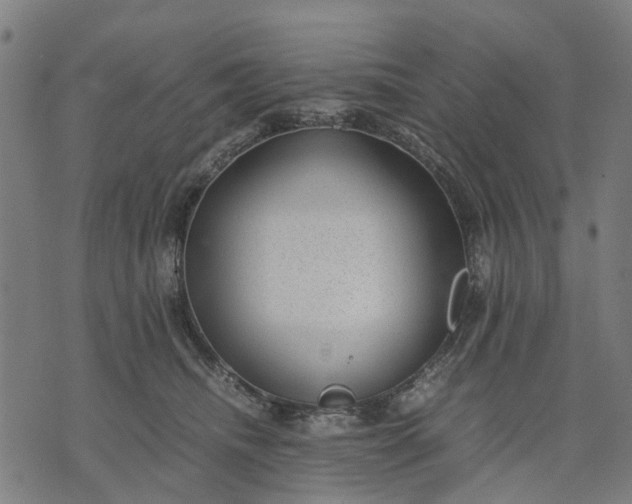 X0000070390468200606231742