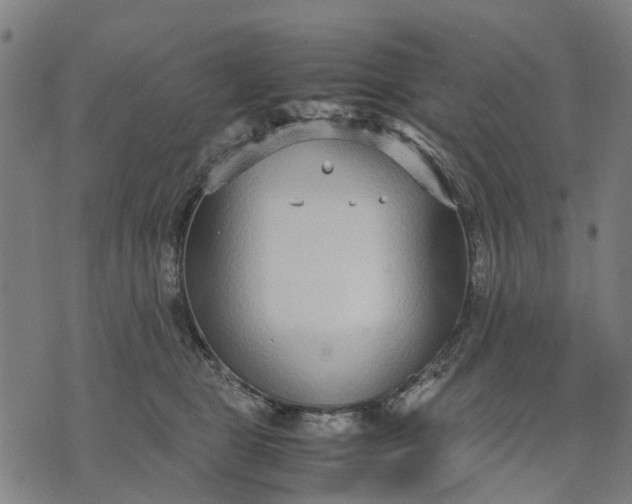 X0000070390469200606231742