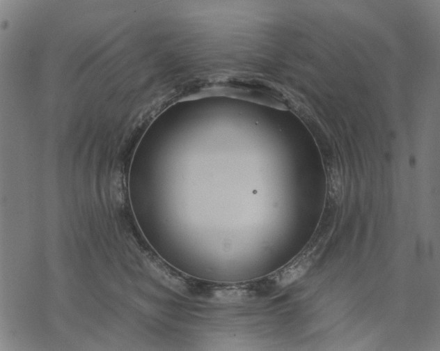 X0000070390470200606231742