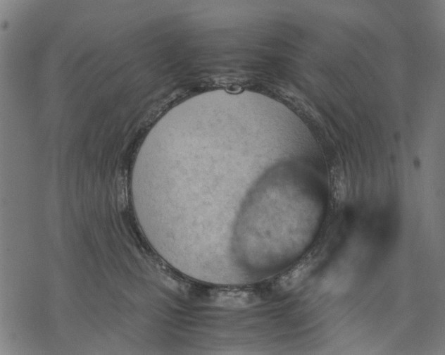 X0000070390471200606231742