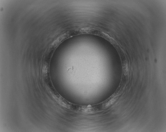 X0000070390472200606231742