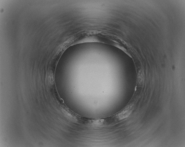 X0000070390474200606231742