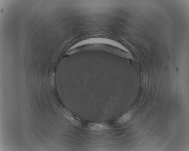 X0000070390475200606231742