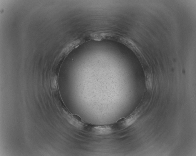 X0000070390477200606231742