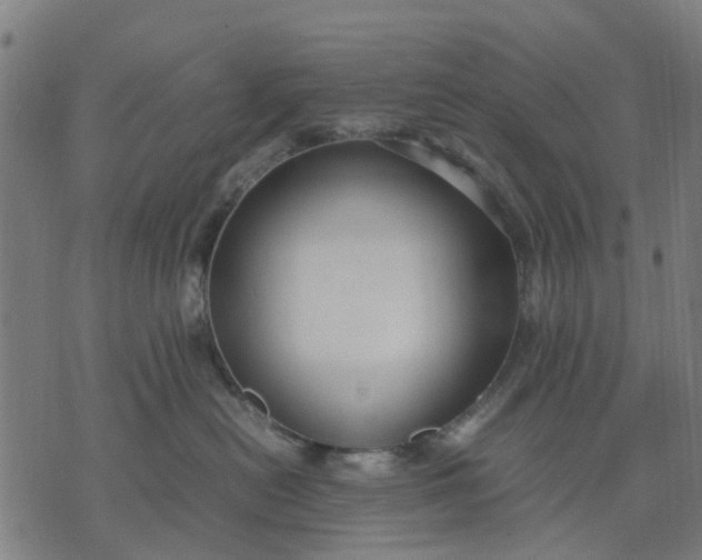 X0000070390478200606231742