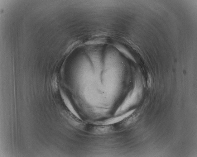 X0000070390479200606231742