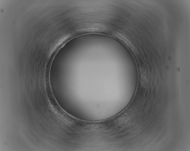 X0000070390482200606231741