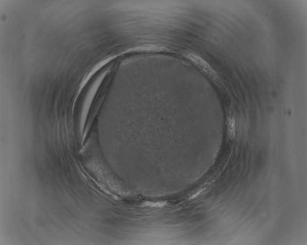 X0000070390484200606231741