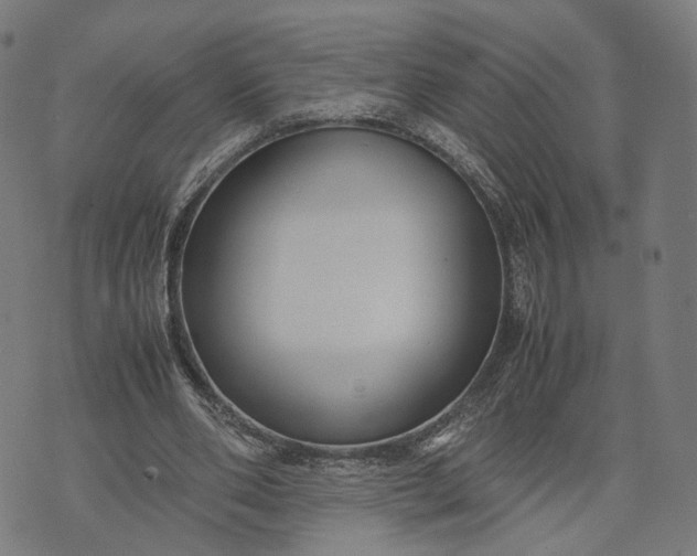 X0000070390486200606231741