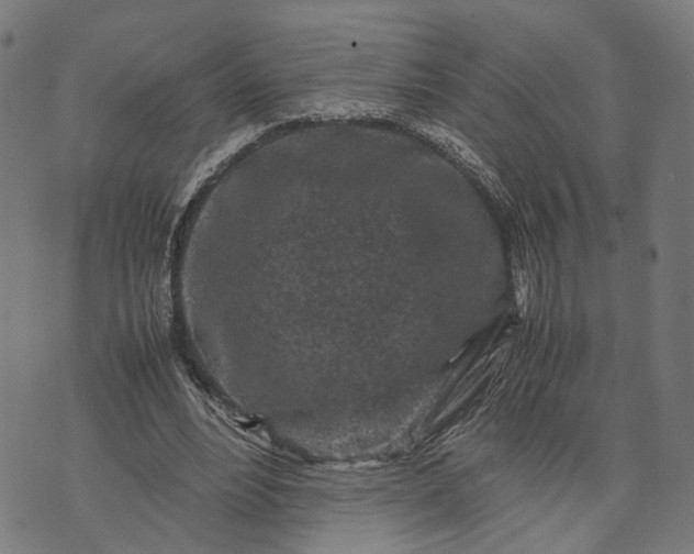 X0000070390488200606231741