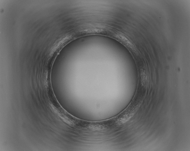 X0000070390490200606231741