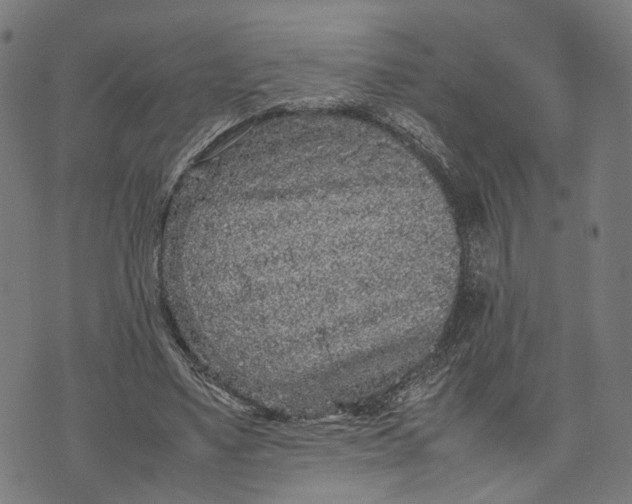 X0000070390491200606231741