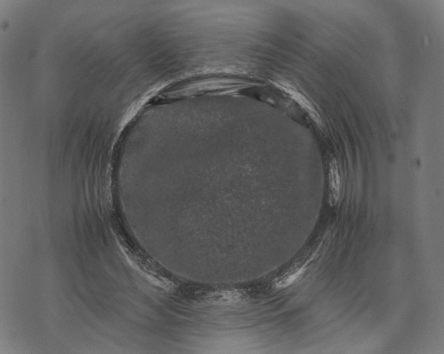 X0000070390492200606231741