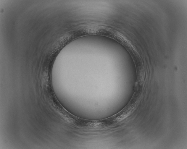 X0000070390497200606231741