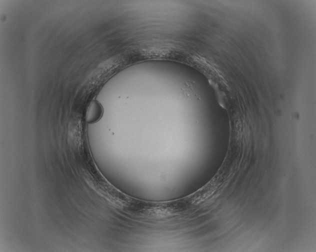 X0000070390498200606231741