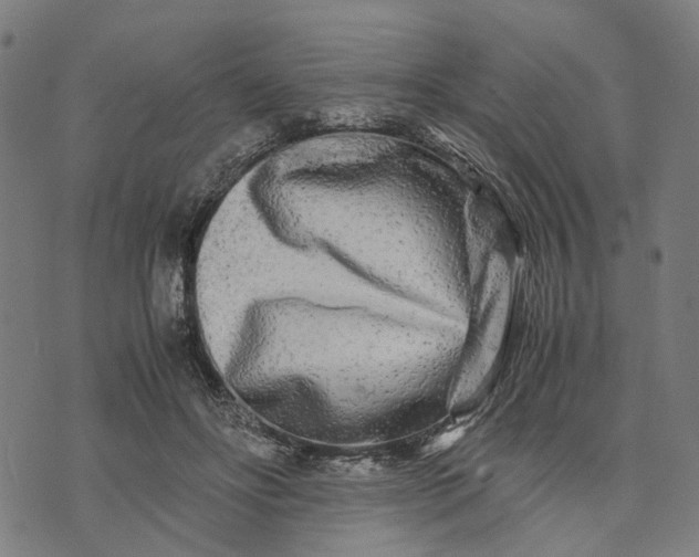 X0000070390502200606231741