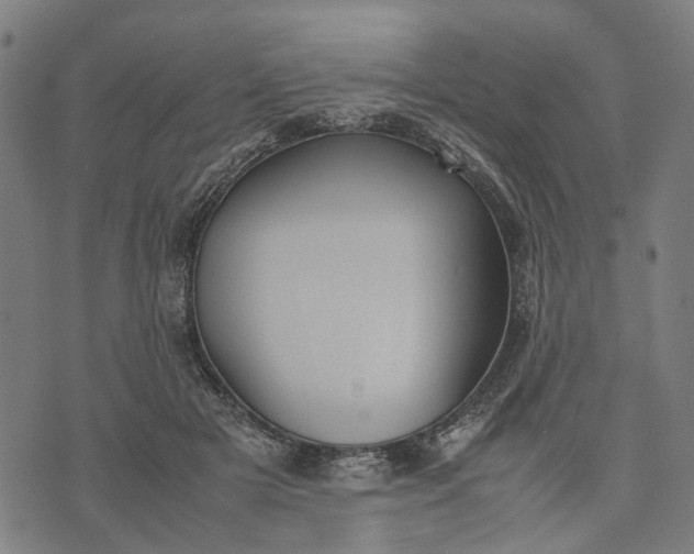 X0000070390505200606231741