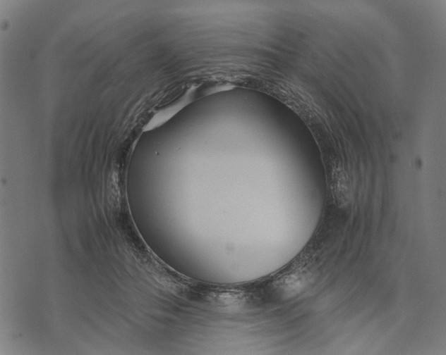 X0000070390506200606231741