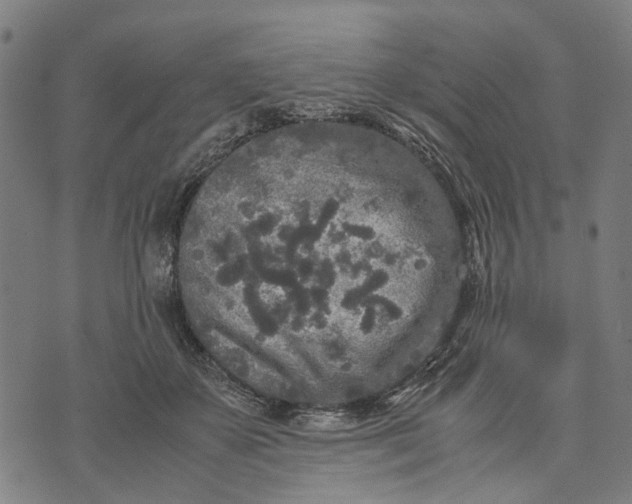 X0000070390507200606231741