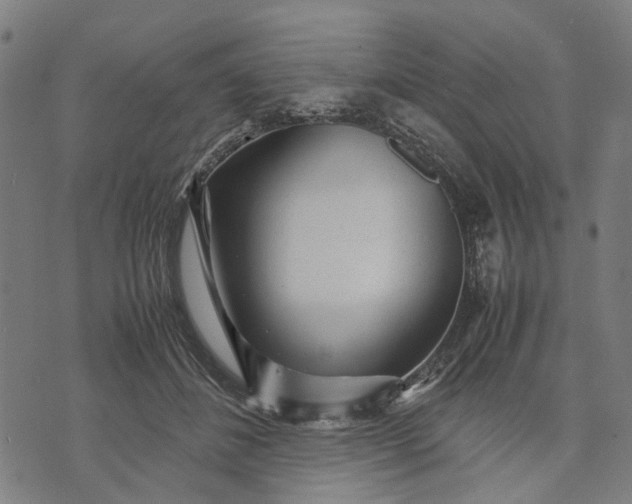 X0000070390508200606231741