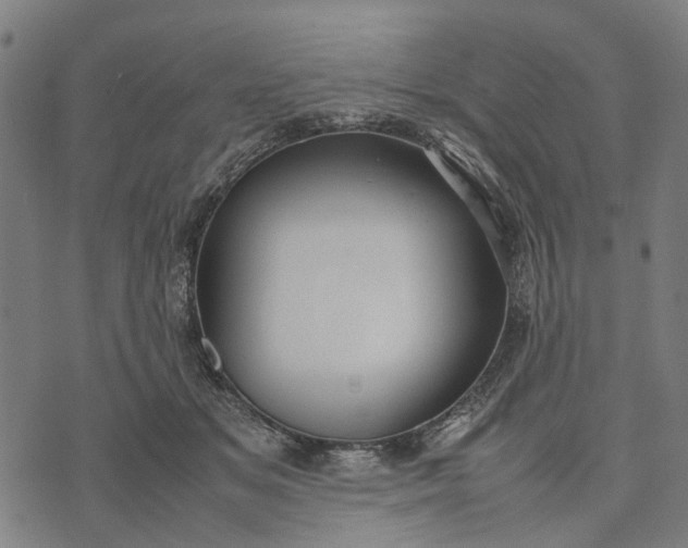 X0000070390509200606231741