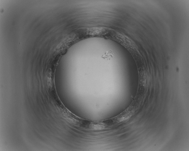 X0000070390510200606231741