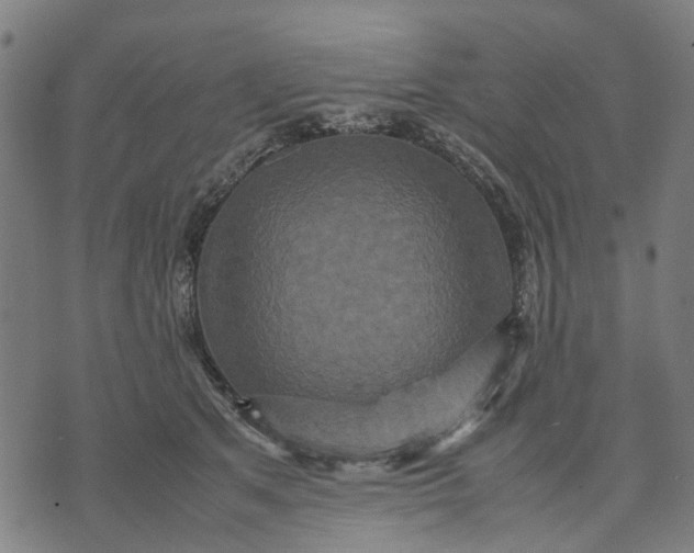 X0000070390513200606231741