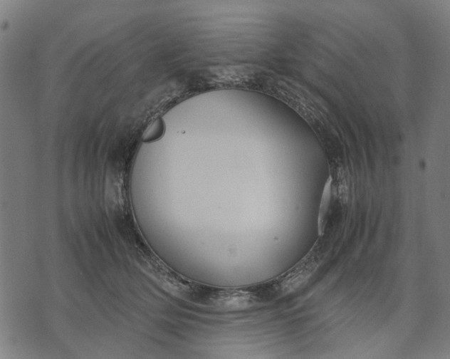 X0000070390514200606231741