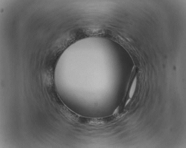 X0000070390515200606231741